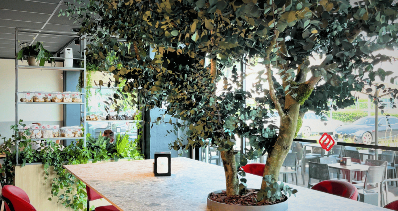 Biophilic Design & Benessere: integrare natura e materia viva nel Contract d’alta gamma