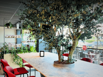 Biophilic Design & Benessere: integrare natura e materia viva nel Contract d’alta gamma
