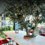 Biophilic Design & Benessere: integrare natura e materia viva nel Contract d’alta gamma